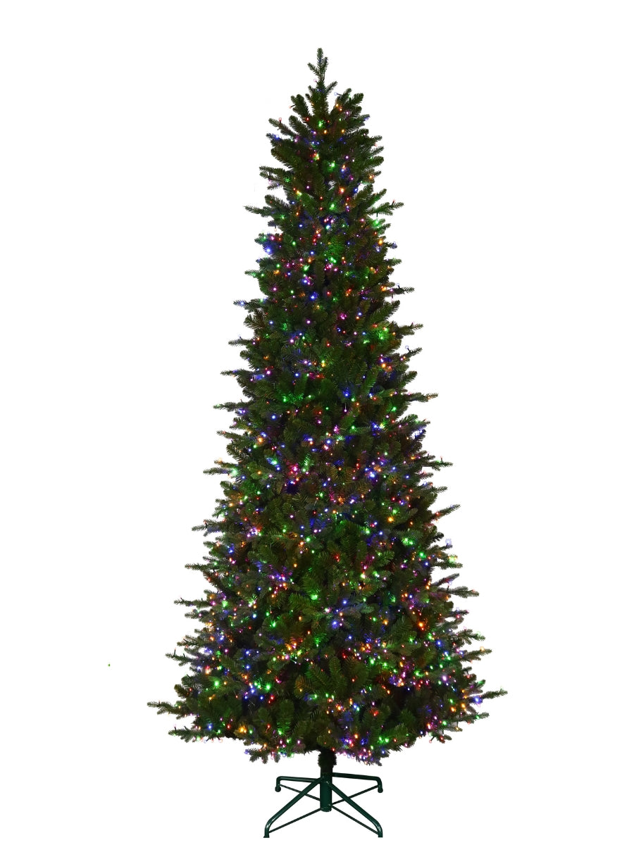 Alberta Slim Spruce 9'